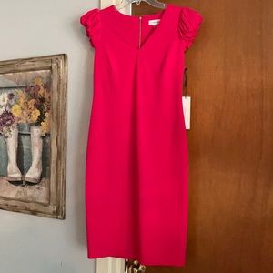 Calvin Klein Fuchsia Dress Size 6